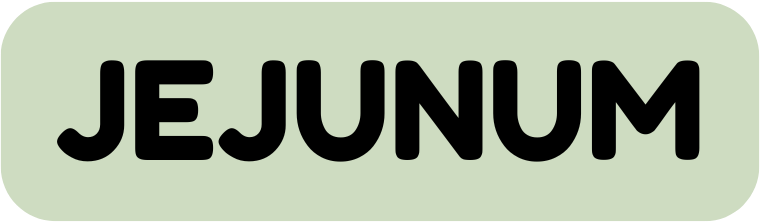 Jejunum Button